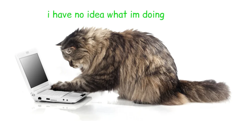 cat typing on laptop; funny caption